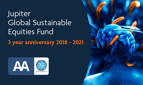 Jupiter Global Sustainable Equities Fund 3 year anniversary promotion tile