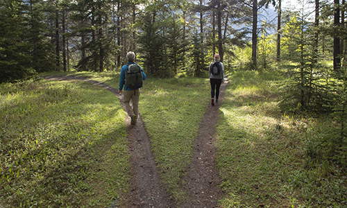 2 people going for a walk in the woods going in different directions