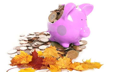 A broken piggy bank filled with money on top of autumn leaves